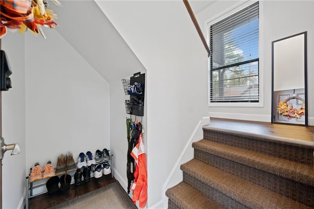 staircase featuring hardwood / wood-style flooring