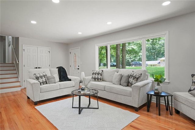 living room featuring wood-type flooring