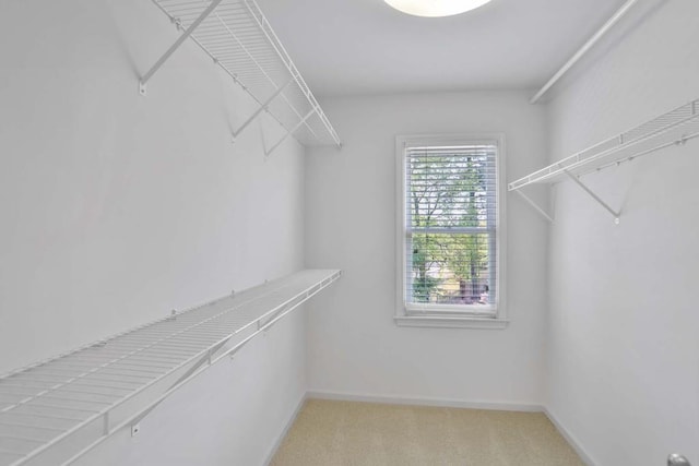 spacious closet featuring light colored carpet