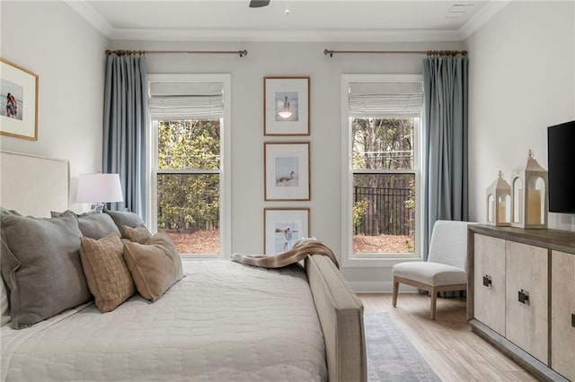 228 Idylwilde Way, Canton, GA 30115 - bedroom with light wood-type flooring, multiple windows, ornamental molding, and ceiling fan