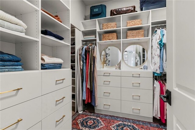 228 Idylwilde Way, Canton, GA 30115 - view of spacious closet