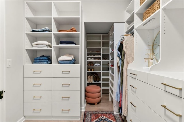 228 Idylwilde Way, Canton, GA 30115 - walk in closet featuring wood finished floors