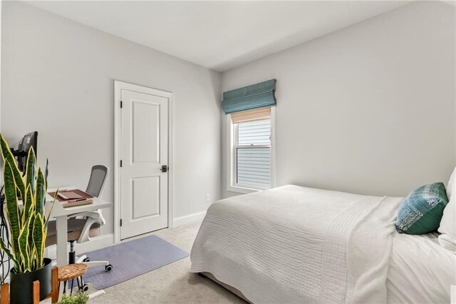 228 Idylwilde Way, Canton, GA 30115 - bedroom featuring baseboards and carpet flooring