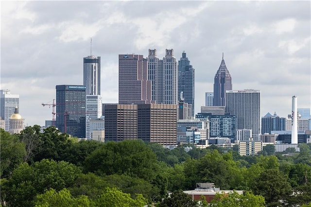 339 Skylar Way SE, Atlanta, GA 30315 - skyline view