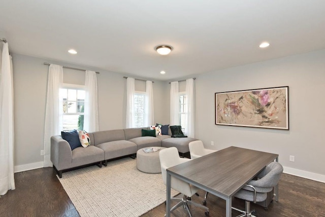 living room featuring hardwood / wood-style floors