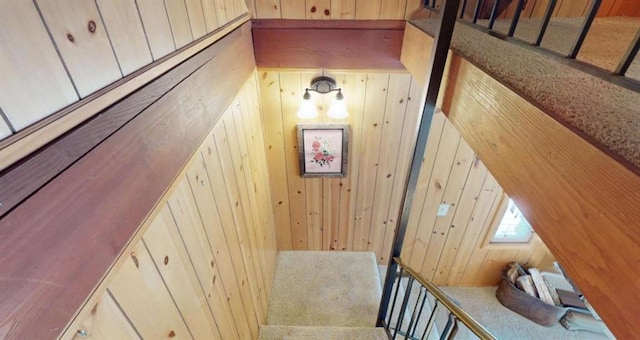 staircase featuring wood walls and carpet flooring