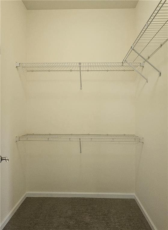 spacious closet with carpet