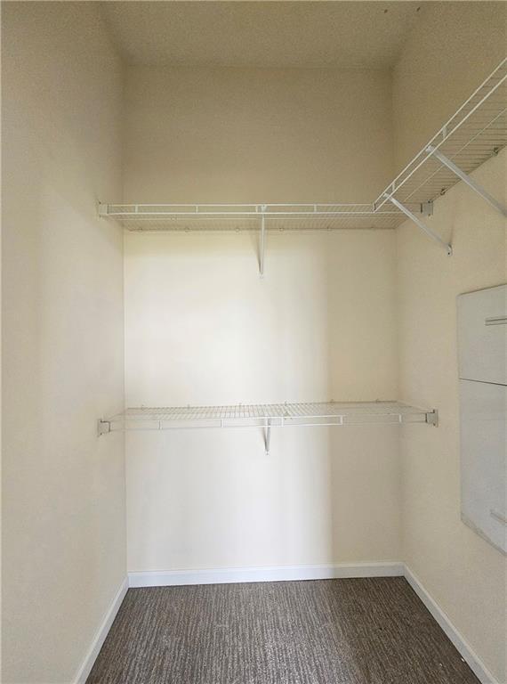 spacious closet with carpet flooring