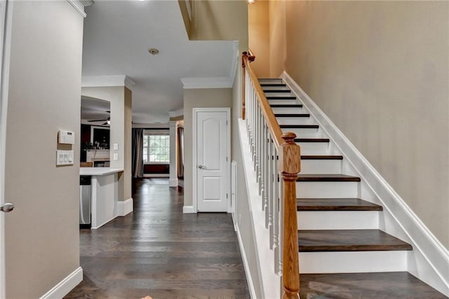 2515 Gadsen Walk, Duluth, GA 30097 - staircase with ornamental molding, wood finished floors, and ceiling fan