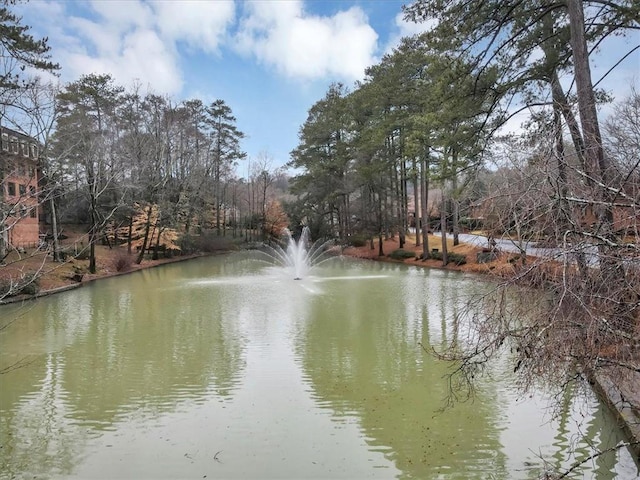 view of water feature