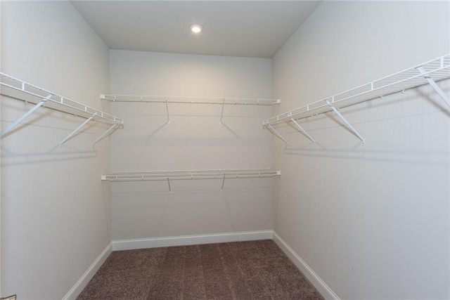 walk in closet featuring dark colored carpet