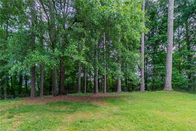 803 Cedar Lake Dr SE, Conyers, GA 30094 - view of local wilderness