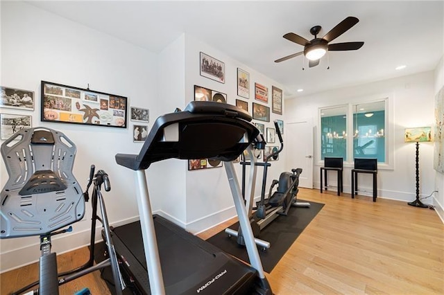 exercise area featuring hardwood / wood-style floors and ceiling fan