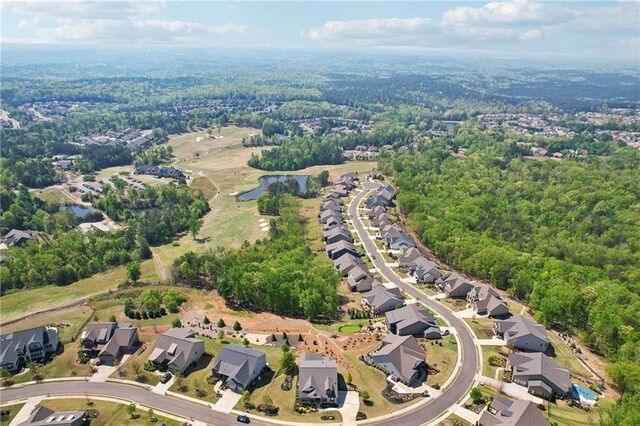 bird's eye view