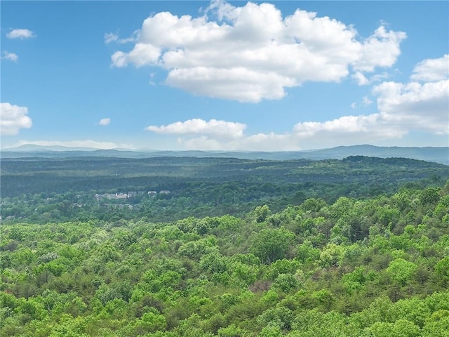 mountain view featuring a forest view