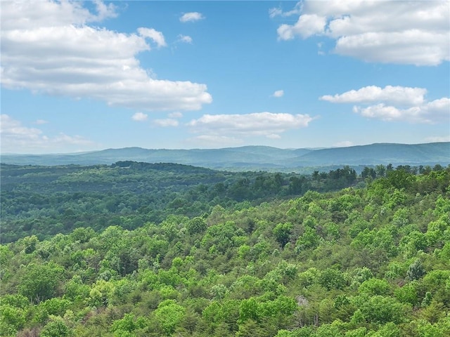 view of mountain feature featuring a view of trees