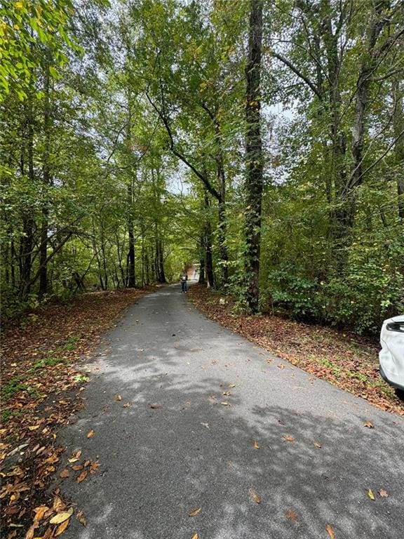 1690 Old Cartersville Rd, Dallas GA, 30132 land for sale