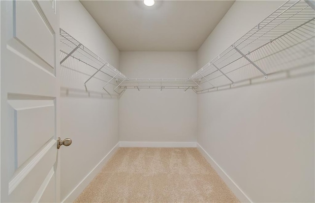 walk in closet featuring light carpet