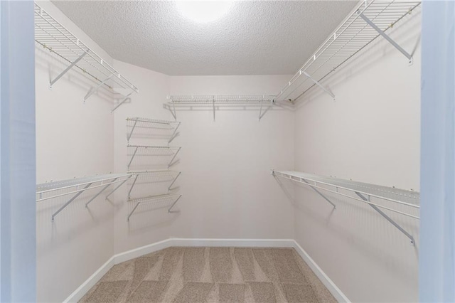 spacious closet featuring carpet flooring