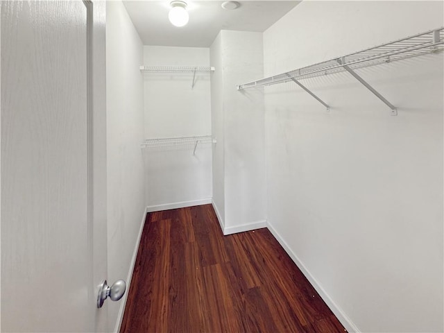 walk in closet with dark hardwood / wood-style floors