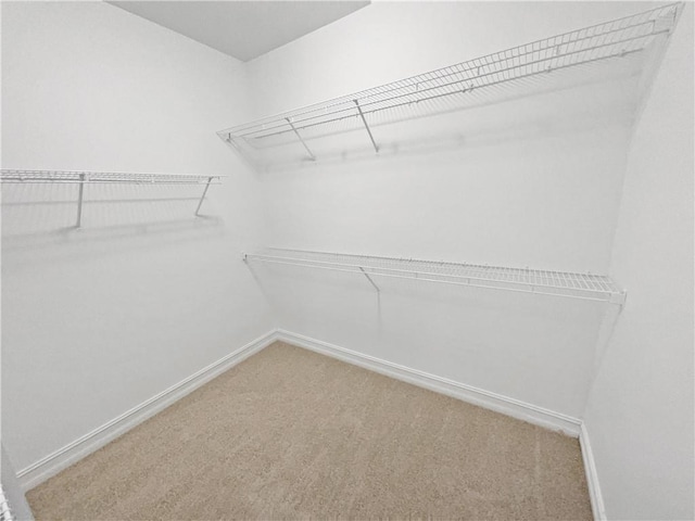 spacious closet with carpet floors