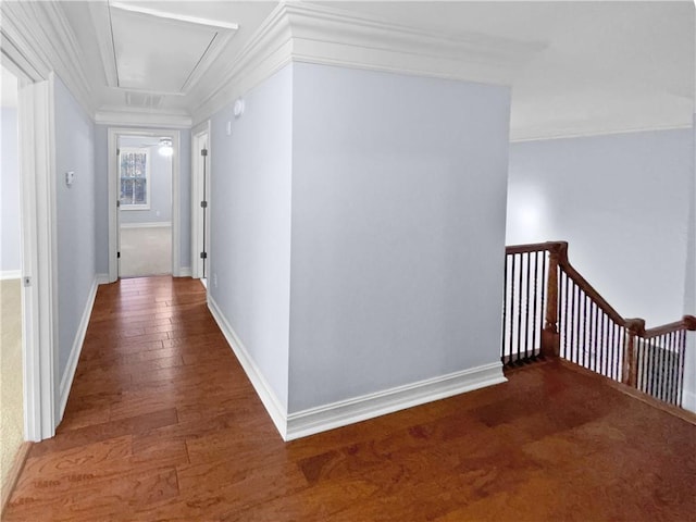 corridor featuring dark hardwood / wood-style flooring