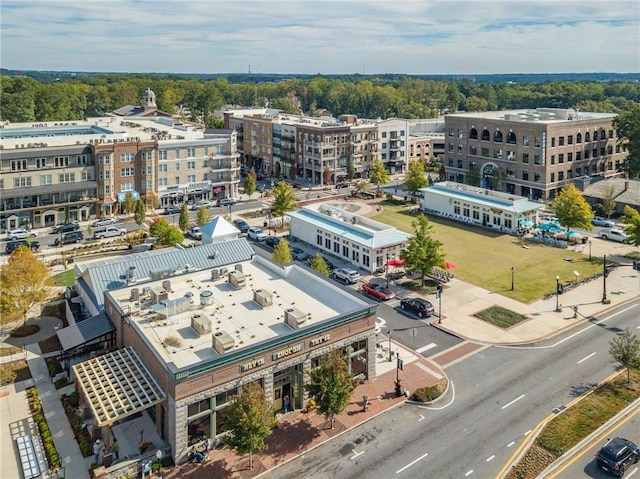 427 Burton Dr, Alpharetta, GA 30009 - drone / aerial view