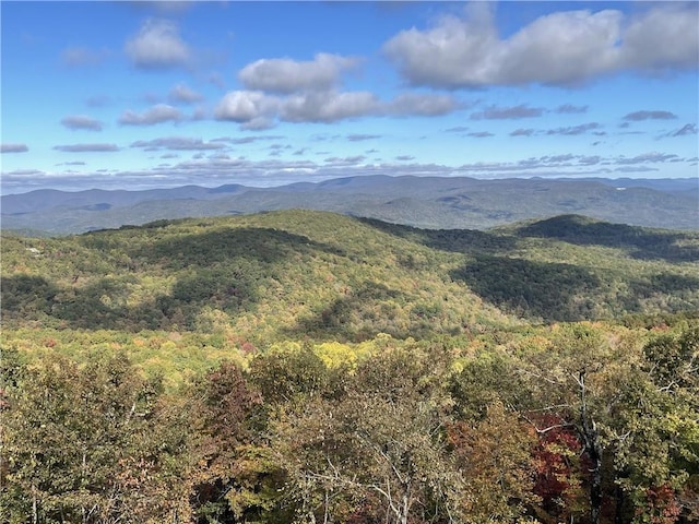LOT04 Upper Sassafras Pkwy, Jasper, GA 30143