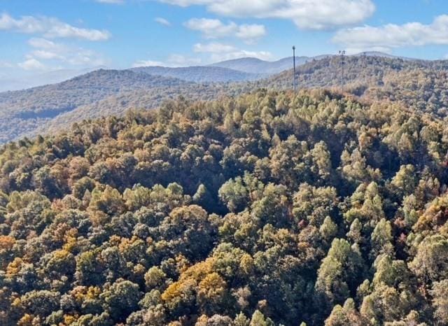 LOT04 Upper Sassafras Pkwy, Jasper, GA 30143