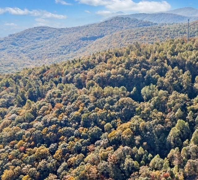 LOT04 Upper Sassafras Pkwy, Jasper, GA 30143