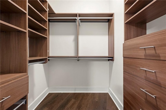 spacious closet with dark hardwood / wood-style floors