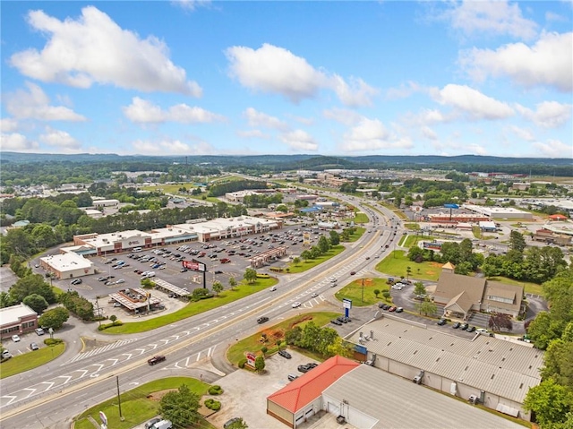 9 Latimer Rd, Cartersville, GA 30121 - drone / aerial view
