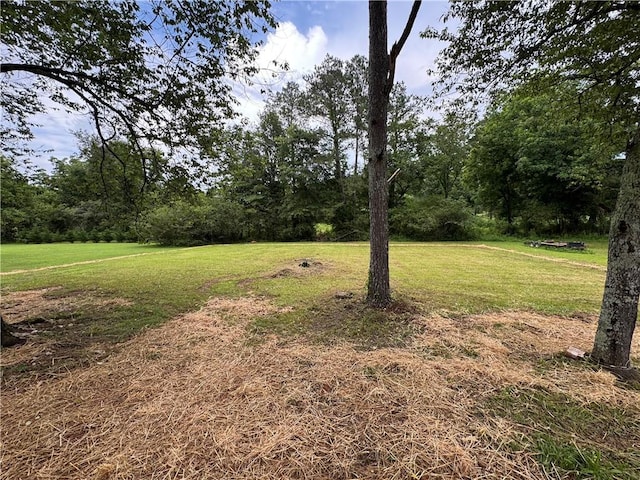 304 Cash Town Rd, Aragon, GA 30104 - view of green lawn