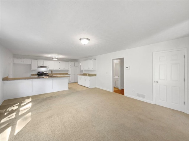 unfurnished living room featuring sink and light colored carpet