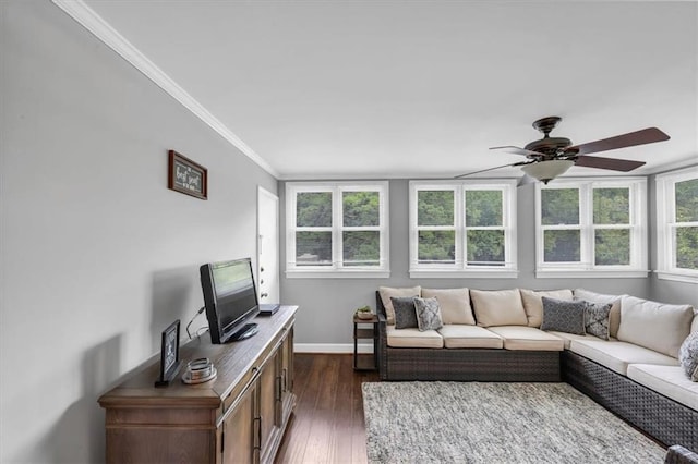 living room with crown molding, dark hardwood / wood-style floors, and ceiling fan