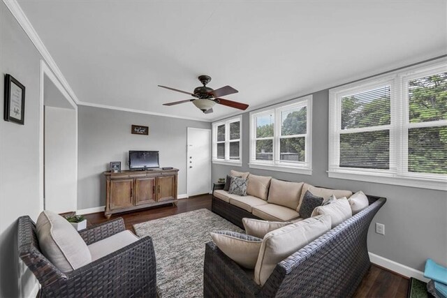 living room with crown molding, dark hardwood / wood-style floors, and ceiling fan