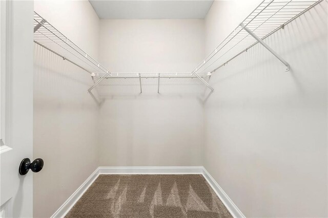 walk in closet featuring carpet