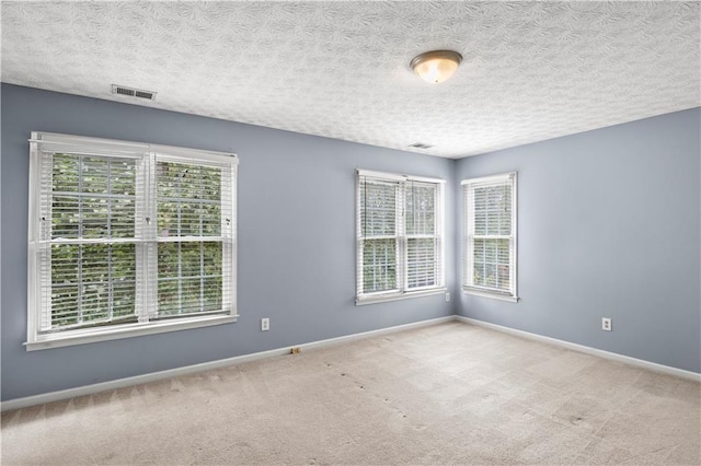 carpeted empty room featuring a wealth of natural light and a textured ceiling