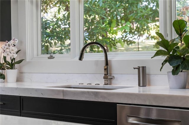 room details with sink and stainless steel dishwasher