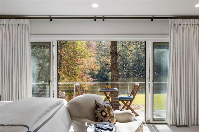 carpeted bedroom featuring access to outside and multiple windows