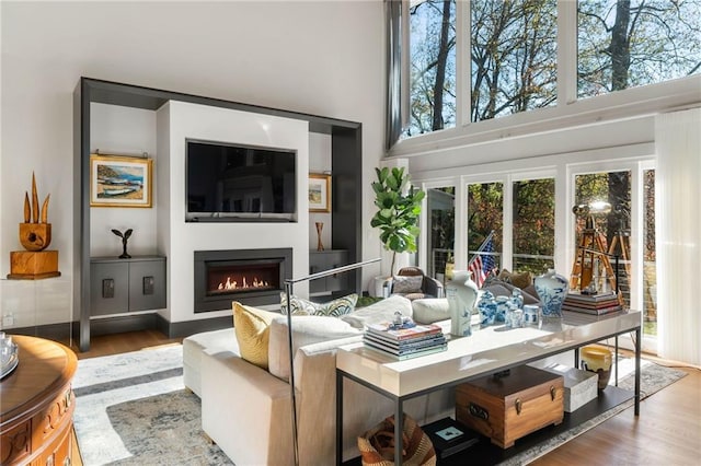 living room featuring hardwood / wood-style floors and a high ceiling