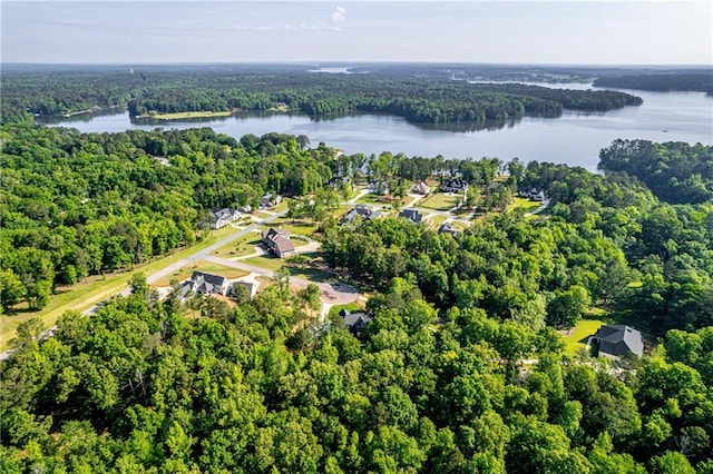 aerial overview of property's location with a forest and a nearby body of water