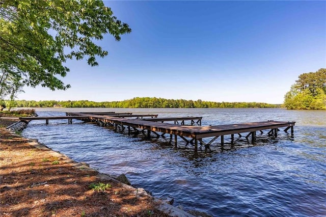 dock area with a water view