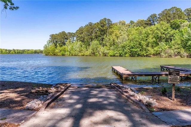 dock with a water view and a forest view