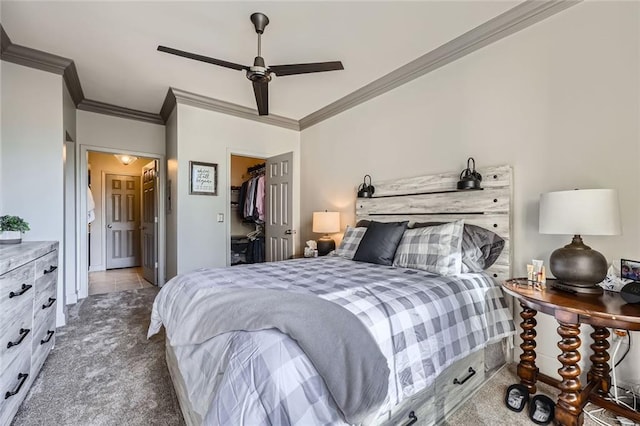 carpeted bedroom featuring crown molding, a spacious closet, ceiling fan, and a closet