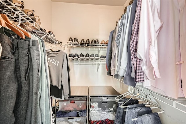 view of spacious closet