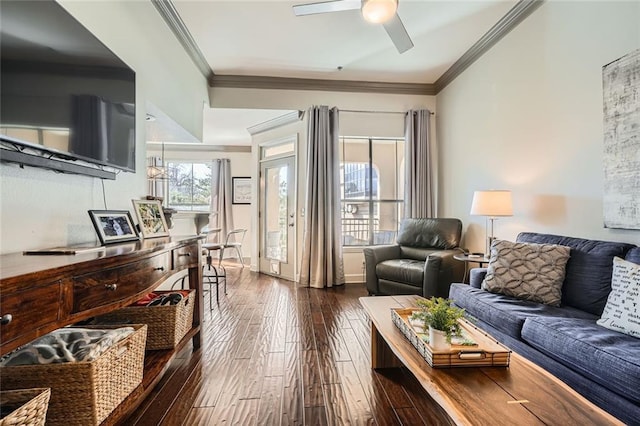 living room featuring ornamental molding, ceiling fan, and dark hardwood / wood-style flooring