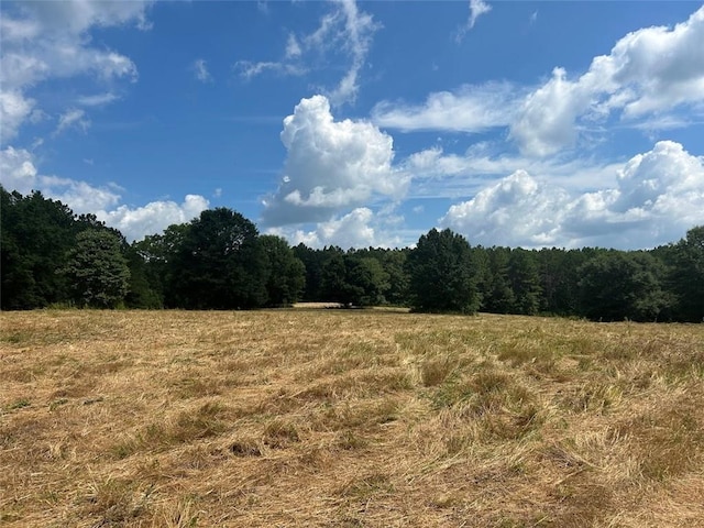 149 River Cv, Carrollton, GA 30117