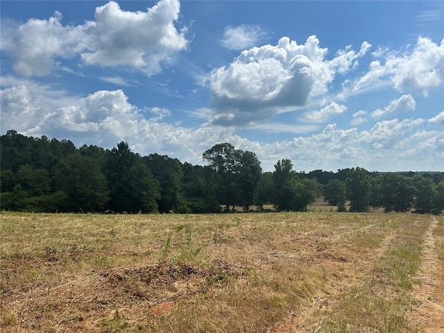 149 River Cv, Carrollton, GA 30117