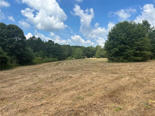149 River Cv, Carrollton, GA 30117